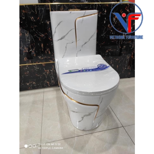 Bồn cầu trắng vân đá viền vàng